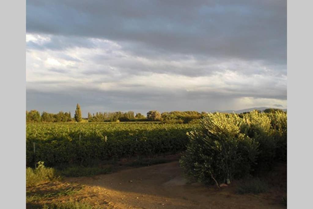 Gite De Charme Du Domaine Pagnon Guillemette Torreilles Buitenkant foto