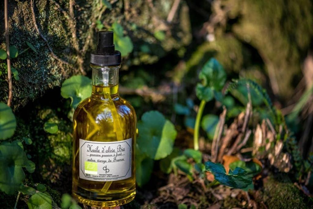 Gite De Charme Du Domaine Pagnon Guillemette Torreilles Buitenkant foto
