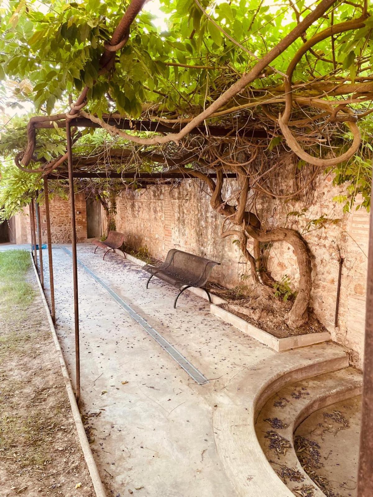 Gite De Charme Du Domaine Pagnon Guillemette Torreilles Buitenkant foto