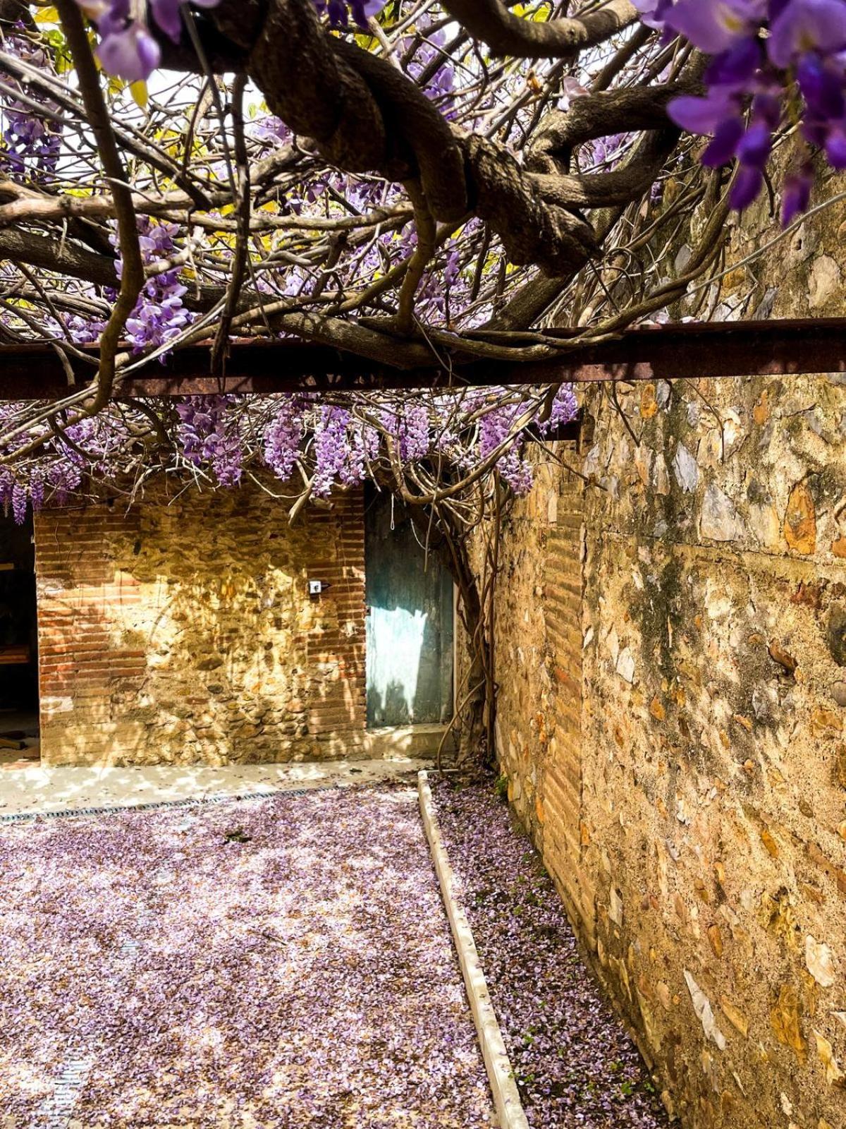 Gite De Charme Du Domaine Pagnon Guillemette Torreilles Buitenkant foto